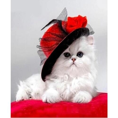 5D DIY Diamond Painting "Cat In Red Hat"Rhinestone Mosaic Painting FH501