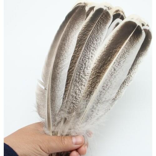 Wholesale Real Natural Eagle Feathers 8-10Inch/20-25CM Quality Eagle Bird Feather For Wedding Decoration Diy Jewelry Plume