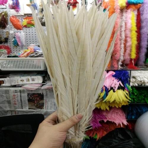 High Quality 500 Pcs Beige Natural Pheasants Feathers 16-18inches/40-45cm DIY Stage Performances Decoration Clothing Accessories