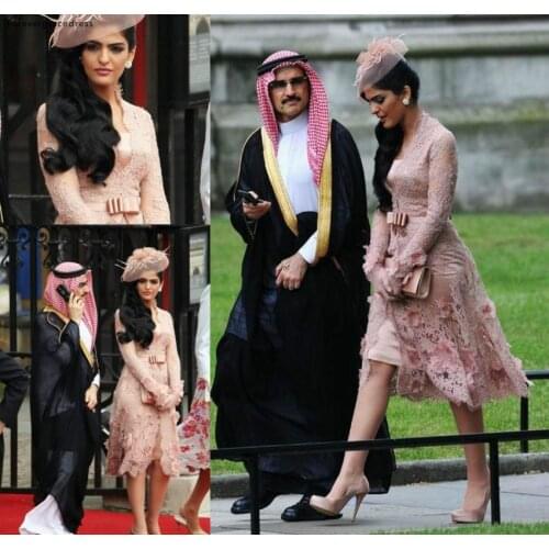 Long Sleeves Celebrity Dresses 2019 V Neck Lace Red Carpet Holidays Wear Formal Evening Party Gowns Plus Size Custom Made