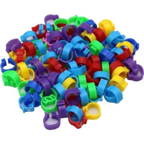 Pigeons Rings 8mm Bayonet Identification Ring Opening Pigeon Ring Color Pigeon Foot Ring Pigeon Supplies Bird Appliances 100 Pcs
