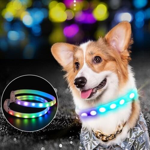 Pet dog led luminous collar pvc charging waterproof hair aperture a variety of adjustable aperture dog collar accessories