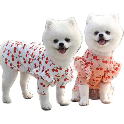 Summer Dog Costume Fruit Printing Pattern Round Neck Polyester Skin-friendly Breathable Cloth Hoodies Dog Accessories