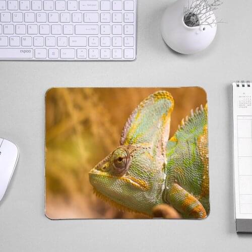 Professional Diy Design Your Pattern Mousepad With Animals Lizard Chameleon Pet Images Soft Table Gaming Mouse Pad