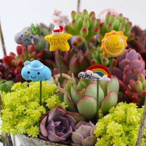Garden Decoration Outdoor Accessories Jardin Succulents Bonsai Ornaments Clouds Rainbow Stars Moon Micro Landscape Potted Plants