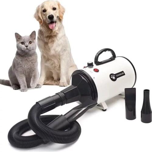 Pet Water Blower Dog Hair Dryer High Power Mute Large Dog Cat Special Dry Blowing Hair Artifact