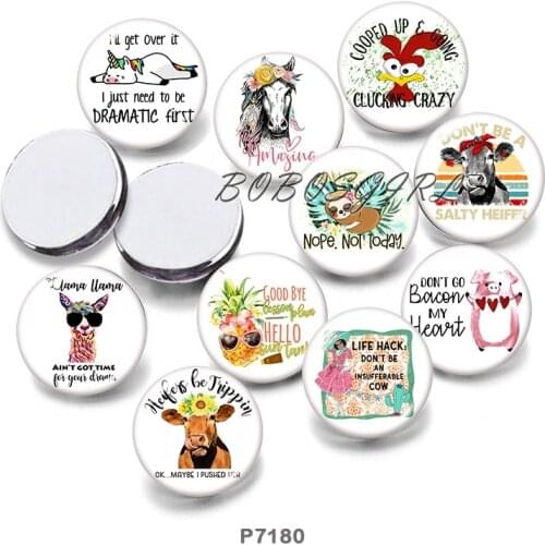Animal Words 12mm18mm 20mm Snap button jewelry DIY Bracelet Round photo glass cabochons P7180