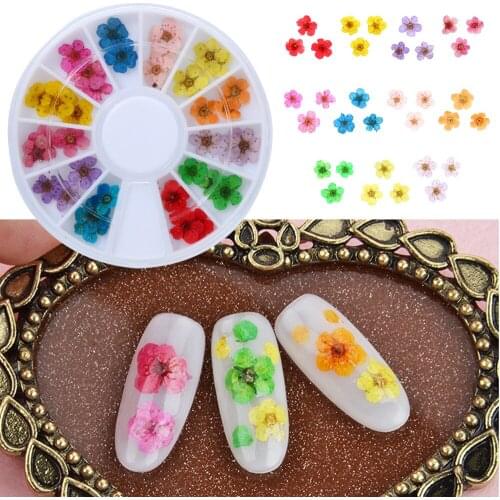 Natural Dry Flowers Set Decals Nail Art 3D Multi Color Floral Slices Gel Polish Decoration DIY Manicure Accessories Hot Selling