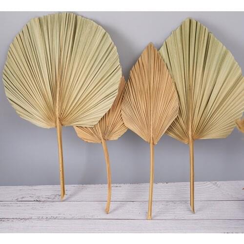 1pcs Party Art Wall Hanging Decoration Wedding Arch Arrangement Palm Fan Leaf Dried Flower Palm Leaf Window Reception