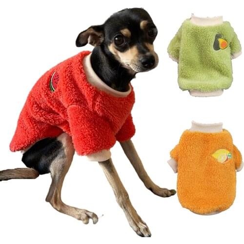 Autumn and Winter Two-legged Dog Pet Cat Clothes Winter Plus Velvet Warm Puppy Clothes Dog Sweater Costume