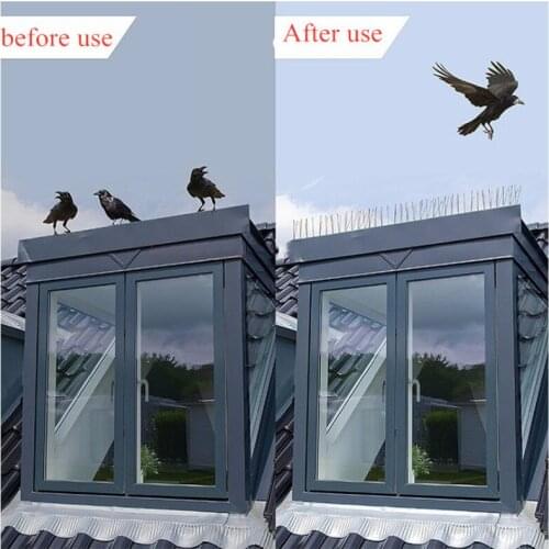Outdoor bird repellent stainless Spikes Eco-friendly Anti Nail For Pigeons Owl Small Fence roof sign protector Deterrent Tool