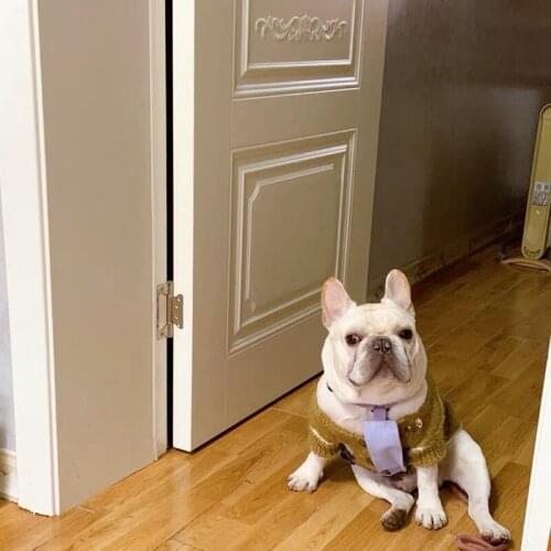 Adjustable Pet Dog Backpack Harness Style Bag For Small Medium Dogs Schnauzer French Bulldog Pug Dropshipping YLB01