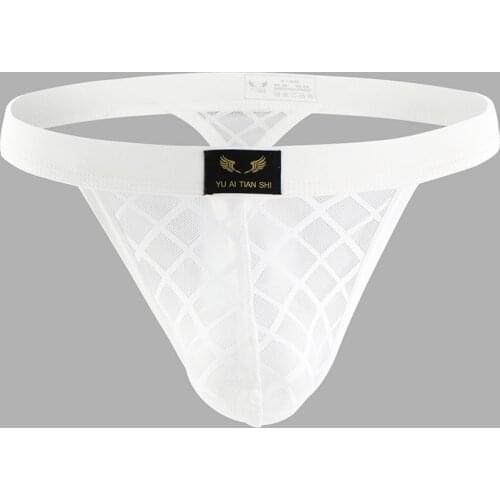 Male Underwear Mens Underpants Men Mesh Transparent Briefs Sexy Hombre Low Rise Penis Breathable Thong Mesh Mens Panties