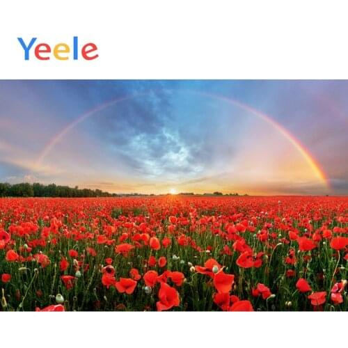 Yeele Tulip Flower Sea Rainbow Sunset Scene Props Portrait Background Photography Banner Photographic Backdrops For Photo Studio