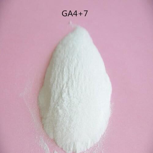 GA4+7, Gibberellin,99 min gibberellic acid, plant growth regulator