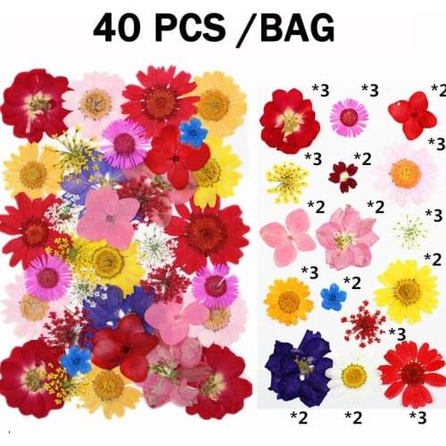 40Pcs Colorful Press Dried Flowers Uv Resin Natural Flower Resin Material for DIY Epoxy Resin Filling Jewelry Decoration