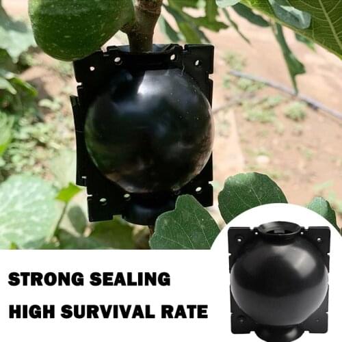 1/2/5pcs Plant Rooting Ball Grafting Rooting Growing Box Breeding Case for Garden wholesale Breed New 2020