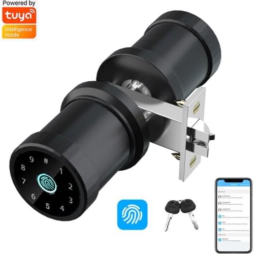 Tuya Smart Fingerprint Lock Smart Door Lock Password Key Bluetooth-compatible Fingerprint APP Four Unlocking Methods Smart Home