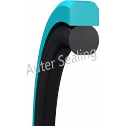 20x15x2.2 Piston Buffer seal Glyd ring