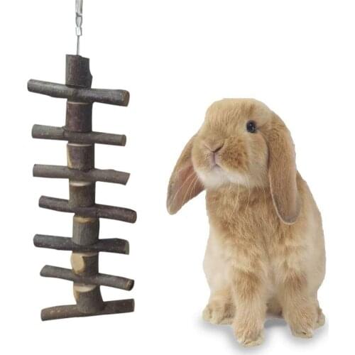 Pet Bunny Chew Toy Tooth Chew Stick Natural Apple Wooden Metal Steel Wire Molar Rod For Rabbits Chinchilla Hamsters Guinea Pigs