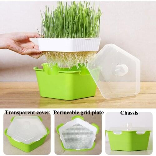 Seeds Hydroponic Nursery Tray Seed Sprouter Tray Double-layer Soilless Double-layer Soilless Healthy Wheatgrass Hydroponic