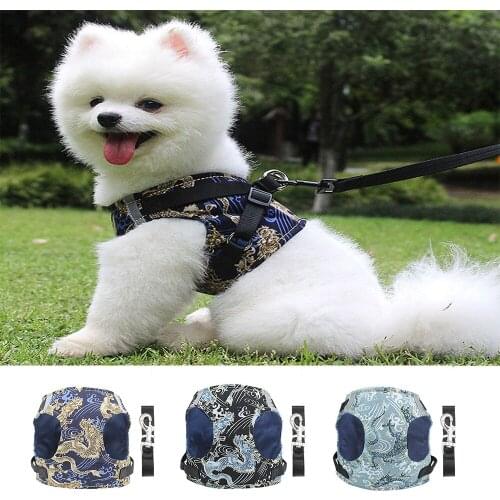 Dog Harness Vest Dragon Printing Adjustable Puppy Collar Chest Strap Outdoor Walking Safety Leashes for Pets Harness Leash Set