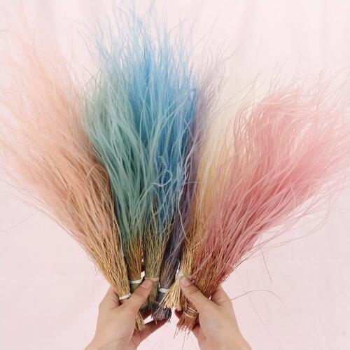 40CM/40g Flores Preservadas Dried Flowers Feather Grass Eternelle For Home Decor Wedding Decoration Christmas Plantas Naturales