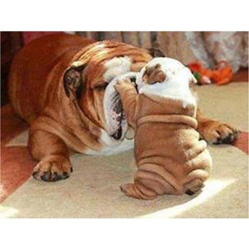 Diy Full Square Round Drill Diamond Painting French Bulldog 5D Cross Stitch animal Home Decoration Diamond Embroidery For sale