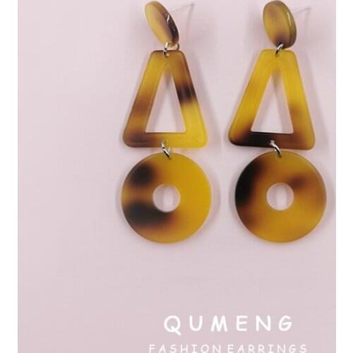 Simple Fashion Retro Round Triangle Geometry Combination Leopard Long Acrylic Acetate Earrings Hawksbill Turtle Indian Jewellery