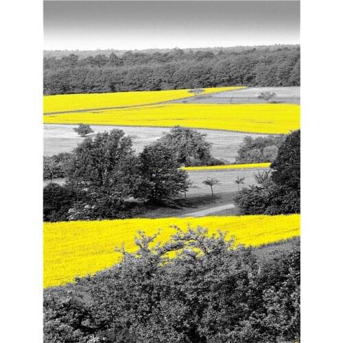 Photograph European Landscape DIY Cross Stitch Embroidery 11CT Kits Needlework Craft Set Cotton Thread Printed Room