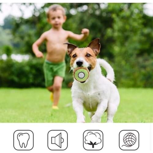 New Fashion Plush Pet Dog Toy Chew Squeak Toys for Teddy Chihuahua Samoyed Husky Shiba Beagles Play Dog Training Pet Supplies