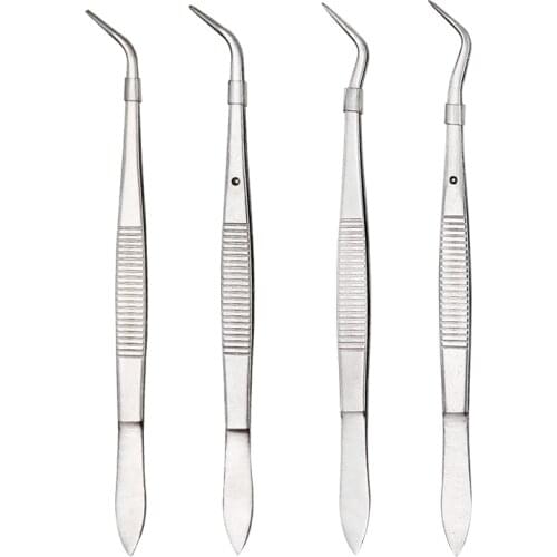 4pcs/set Stainless Steel Dental Surgical Tweezers Pincers Serrated Curved Tweezer Forceps Teeth Whitening Dentist Tools