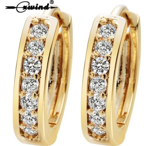 Cxwind Small Hoop Earrings Gold Filled Clear Cubic Zirconia Round Hoop Earrings for Womens Earrings Sexy Ear Surgical Jewelry