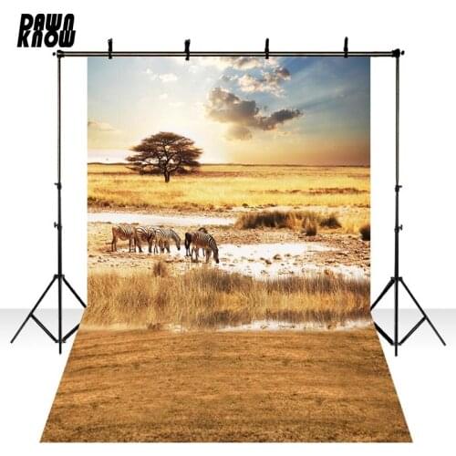 DAWNKNOW Zebra Photography Background Pampa Photocall Baby Photo Shoot Wedding Photo Backdrops Children Photo Studio lv2446