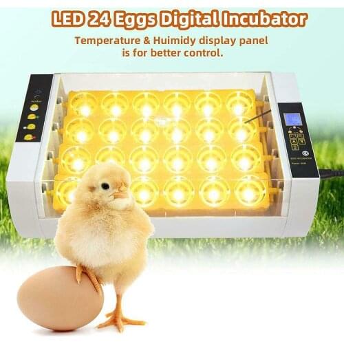 LED High Efficiency Automatic Egg Incubator Automatic Egg Incubator With Temperature Control Poultry Incubation Machine Hatchery