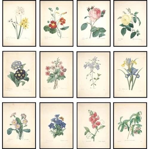 Vintage Botanical Studies Canvas Painting Poster and Print French Plant Illustrations Botany Wall Art Picture Home Decor Cuadros