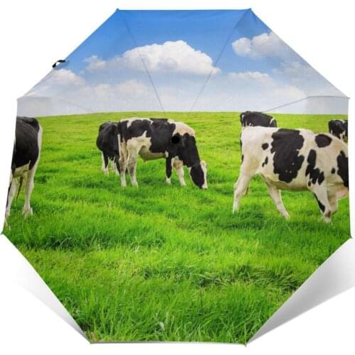 Wind Resistant Folding Automatic Umbrella Women Auto Cows On Green Field And Blue Sky Windproof Umbrellas Rain For Men Parasol