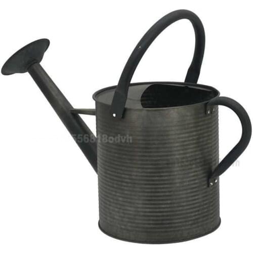 6.5L Retro Iron Household Gardening Watering Can Dual-purpose Flower Spraying Pot with Movable Head