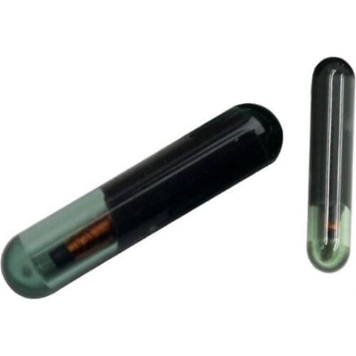 Free shipping,Blank ID48 glass transponder chip ID 48 ID48 chip , Car Key Chip