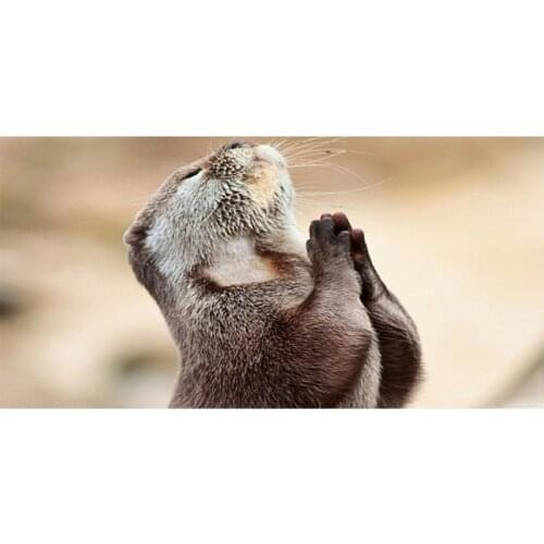 Sea Otter Bath Towel 140x70cm Absorbent Bamboo Fiber Beach Towel Drying Washcloth Large Spa GYM Swimming Shower Towels