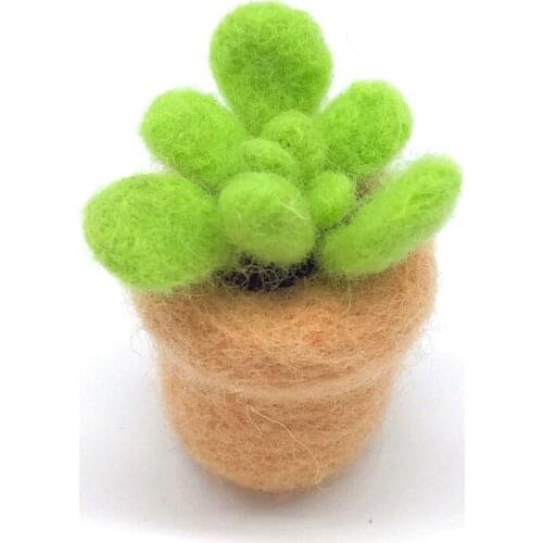 Succulent Needle Felting Kits with 3 Felting Needles, English Manual, Enough Wool, Suitable for Beginners (B)