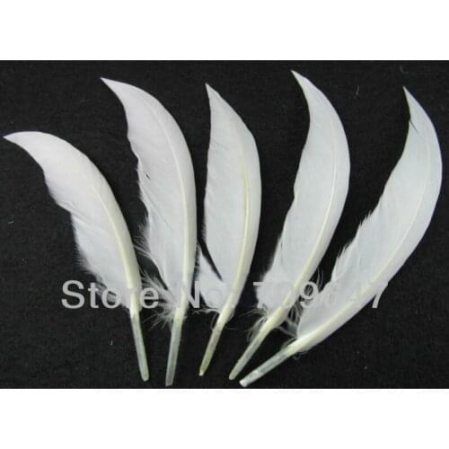 White Feathers,Feather decoration, 200PCS/LOT 10-16CM Curved White Goose Quill Feathers Hard Stick White Feathers