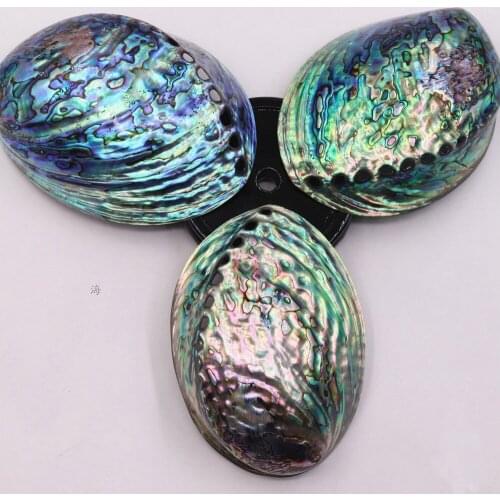 1pcs natural raw color and blue color Abalone shell for white sage bouquets burn or home decoration