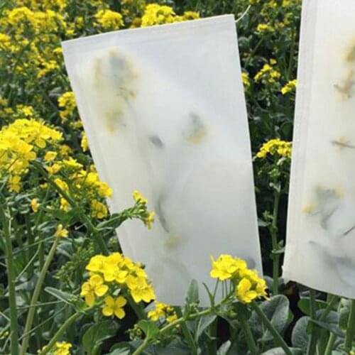 100pcs Wheat Corn Sulfuric Acid Paper Bag Fruit Bagging Agricultural Crops Pollination Breeding Parchment Bags Raising Pouch