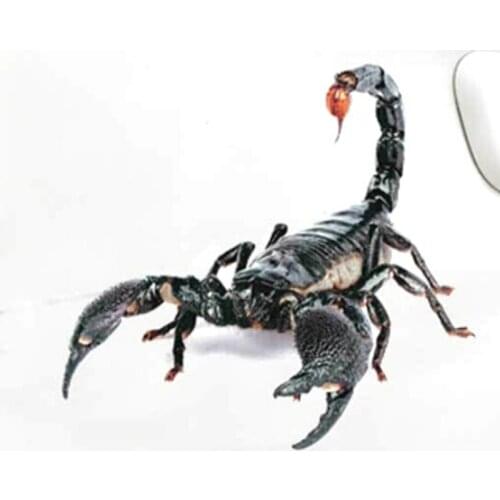 3D PVC Car Sticker Lizard Scorpion Spider Car Body Window Sticker Decal for Lifan X60 Cebrium Solano New Celliya Smily