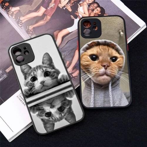 Funny Kitten Cat Phone Case For iphone 12 11 8 7 plus mini x xs xr pro max matte transparent cover