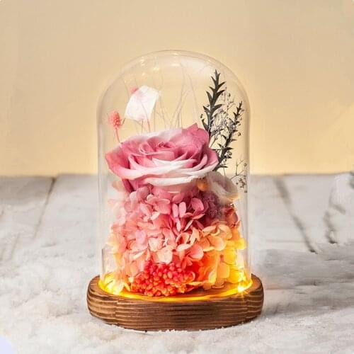 15*21cm Luminous Antique Base Glass Dome Vase Home Decoration Transparent Cover DIY Friend Gift Wedding Prop Handmade Craft