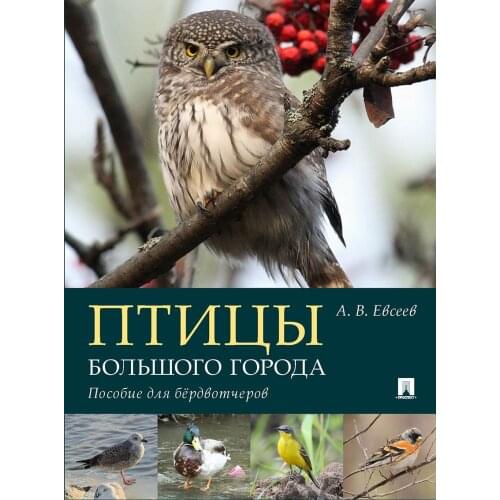 Издательство "Проспект"  China