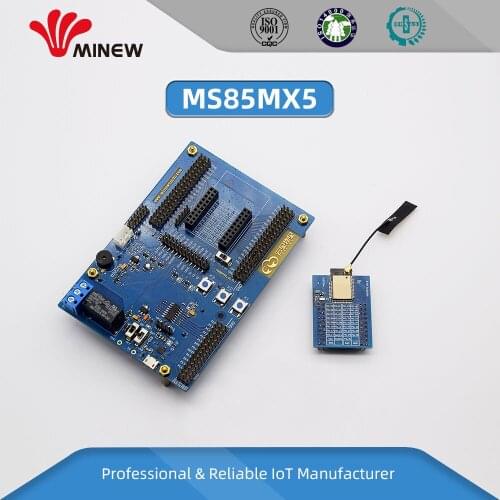Minew nRF52832 nRF52840 nRF52810 BLE Module Development Board Evaluation Kit