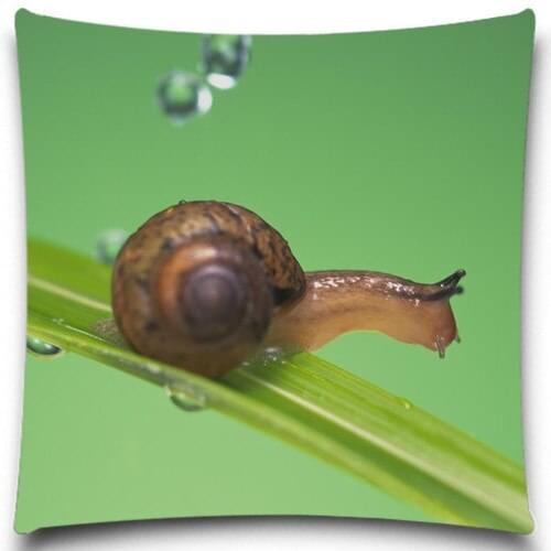 Snail/Frog Pillow case Creative insect Polyester Home Decor Sofa Car Seat Decorative